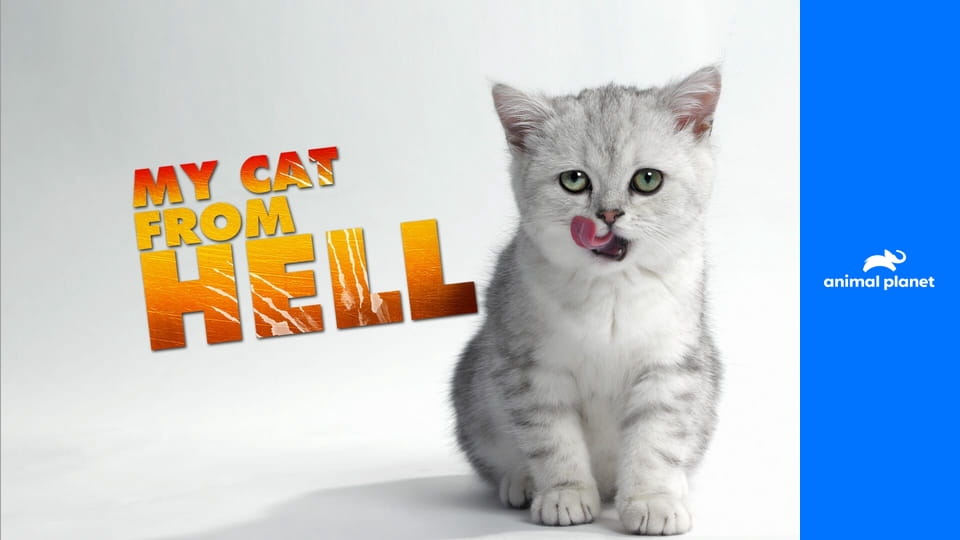 Má pekelná kočka S2E6 - Matylda vs. Black Rose a Polly