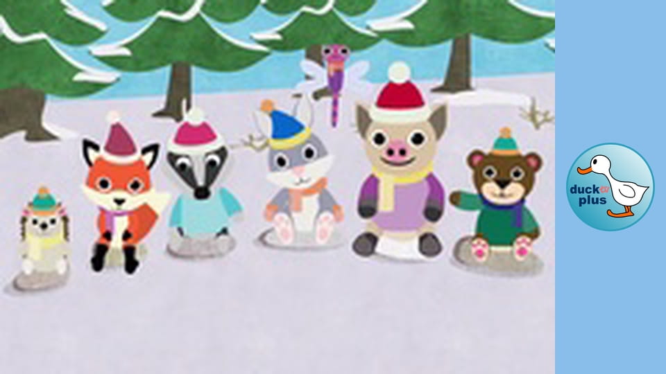 duckSchool - The Bird Feeder