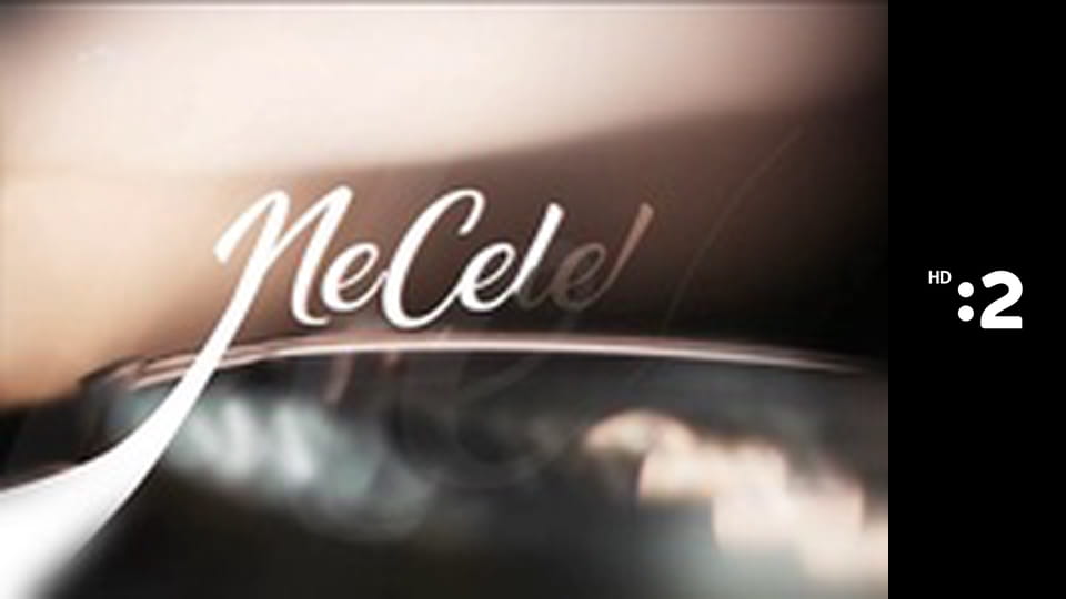 NeCelebrity E14 - Marta Gajdošíková