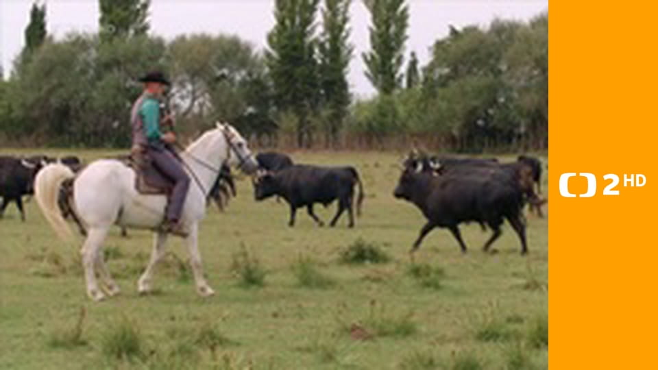 Zvířecí odysea E4 - Cesta eurasijského koně