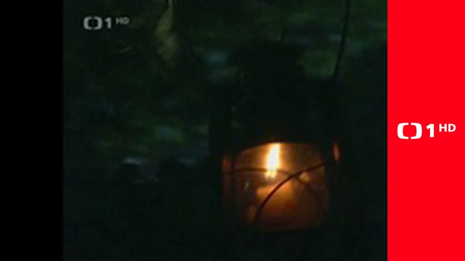 Šplhajúci profesor