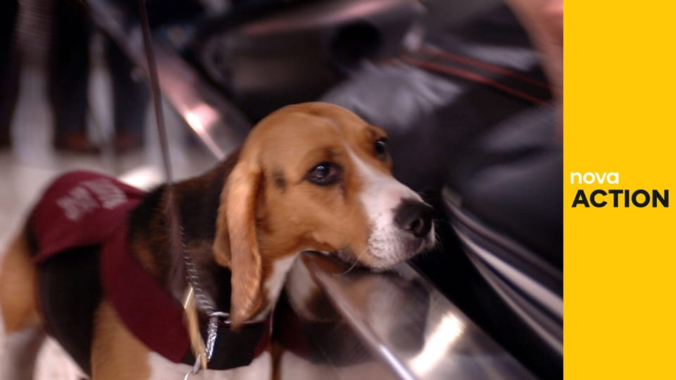 Strážci hranic: Austrálie S15E20