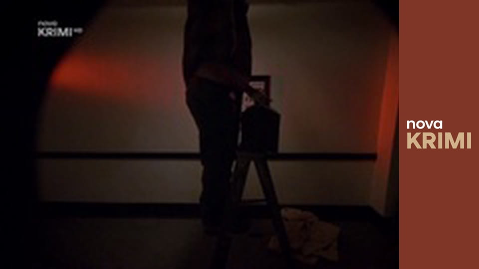 Myšlenky zločince S11E20