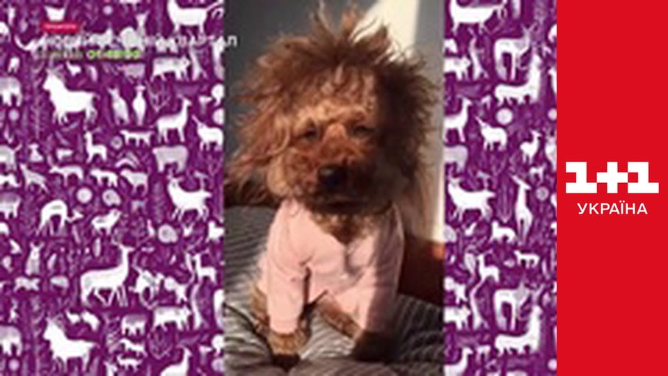 Вечірній Квартал E8