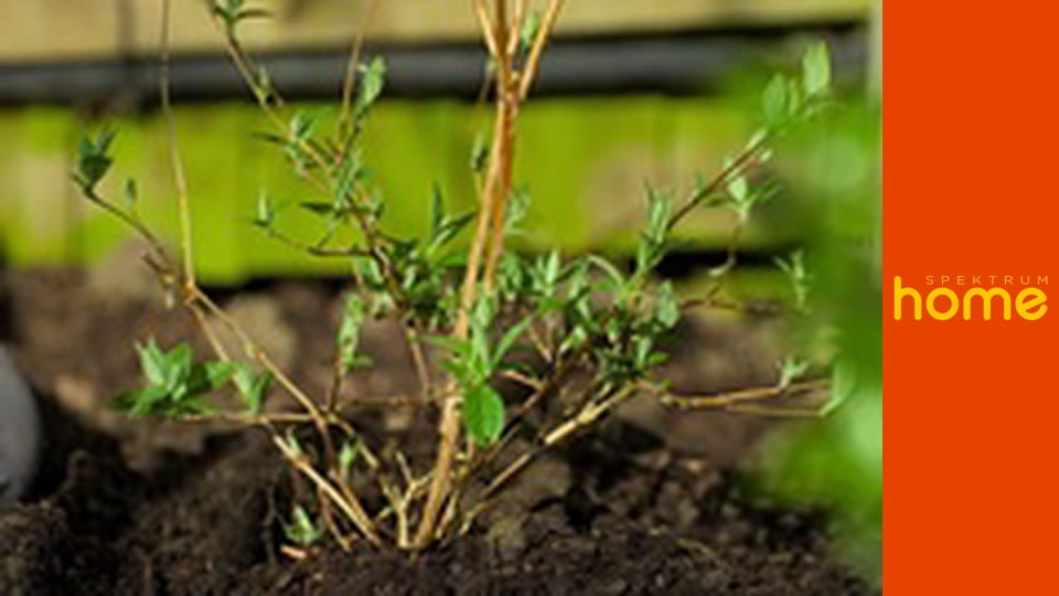 Zahradníkův svět S14E4