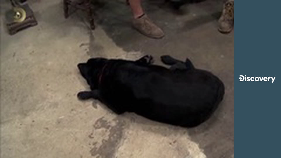 Спасатели имущества S1E10 - Церковь четырехстороннего Евангелия