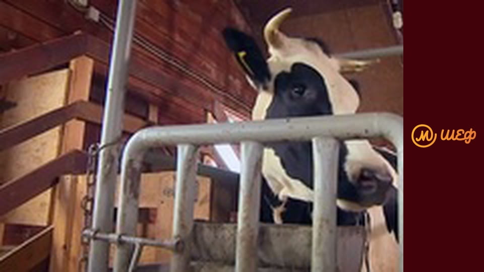 Season 7, Episode 5, Part 9