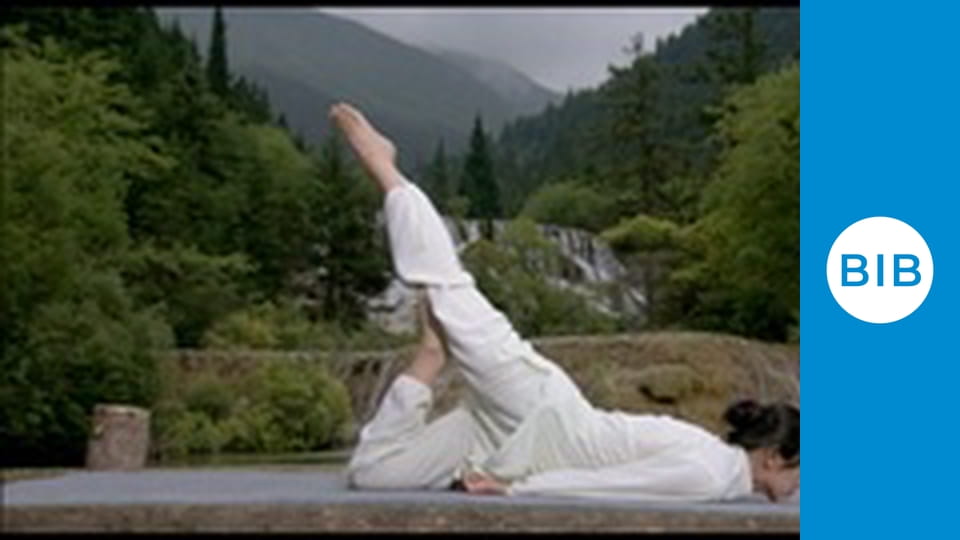 Cric Fit With DJ Bravo