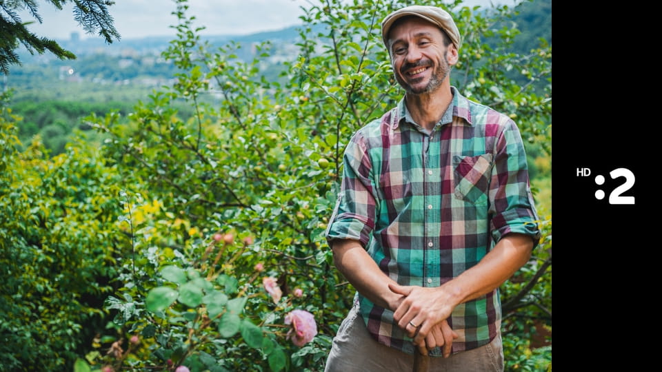 Komu sa nelení, tomu sa zelení E17