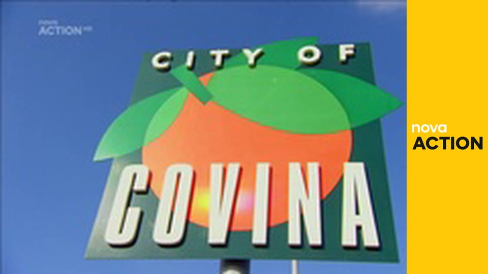 Mistři aukcí S3E14 - Mrtvý cíl