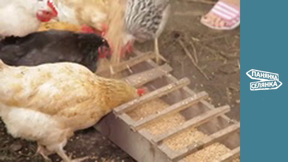 City Girl, Country Girl, Season 5, Episode 6