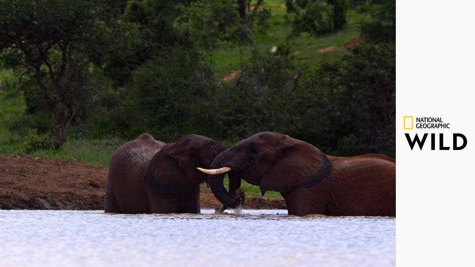 Смерть у реки