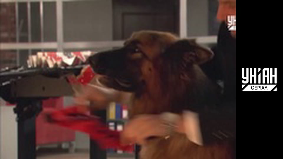 Помста природи