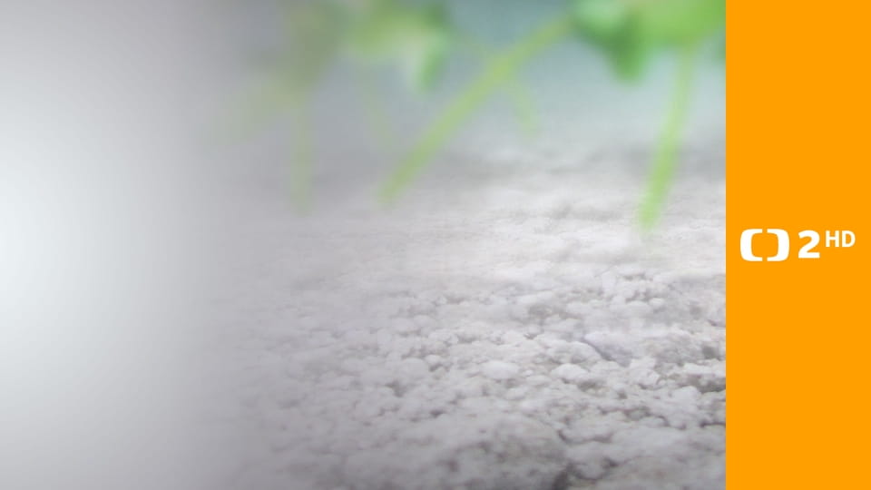 Nedej se - Občanské noviny – SOS Karviná