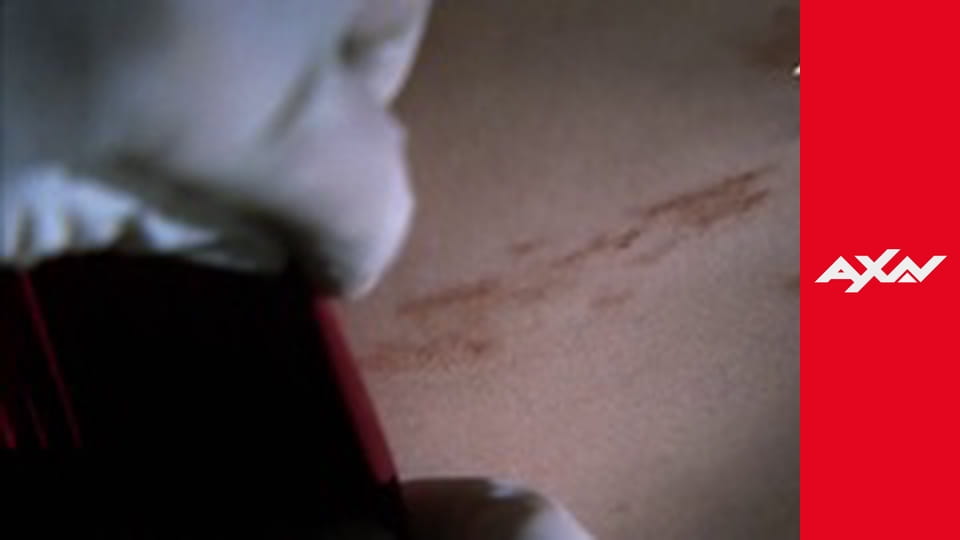 CSI S8E10 - CSI 810 - LYING DOWN WITH DOGS