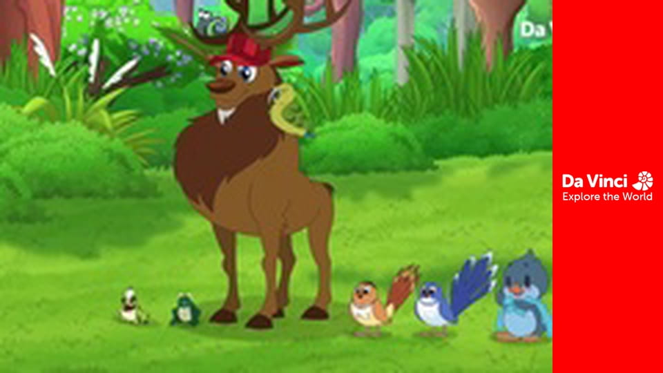 Darwin and Newts - Disappearing Ducks