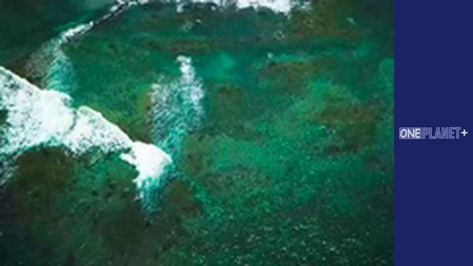 Nature's Force, Season 1, Episode 6