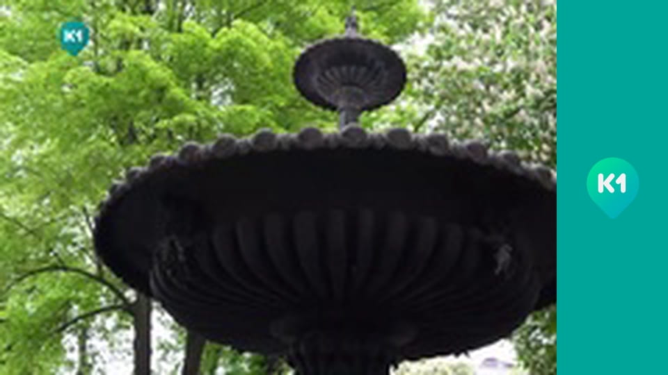 "Світ_огляд з Машею Себовою".