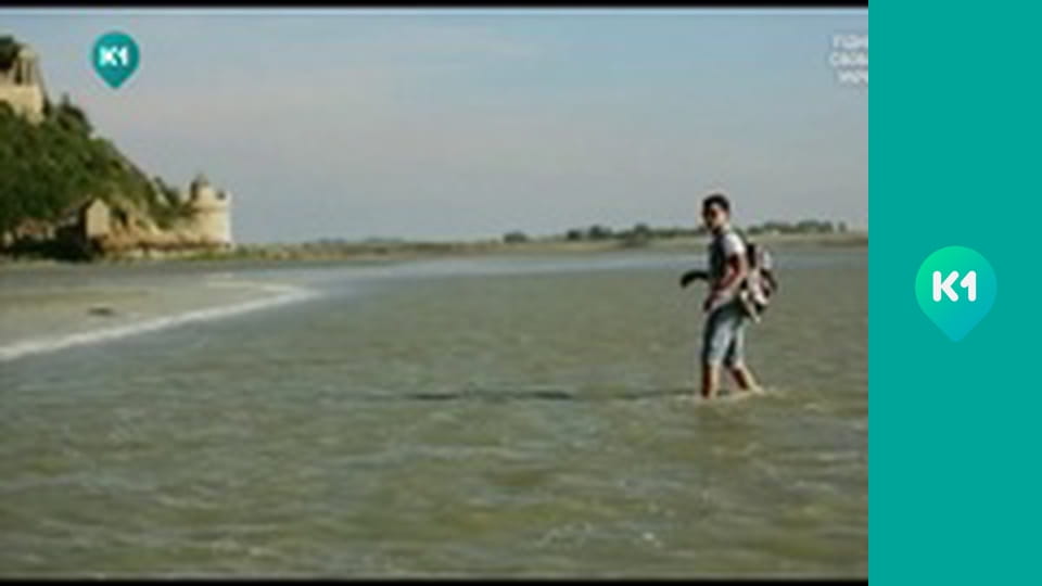 "Орел і Решка. Дайджест".