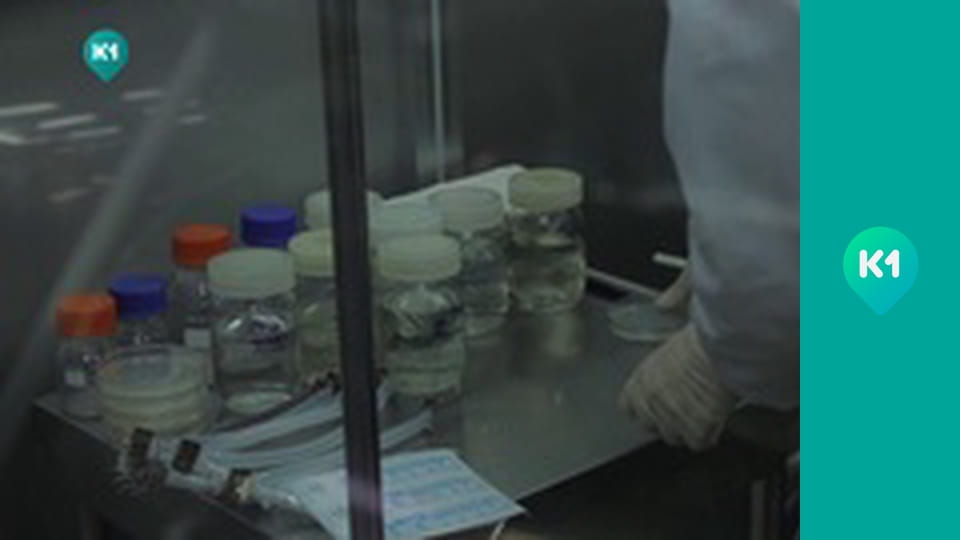 "Інший світ".