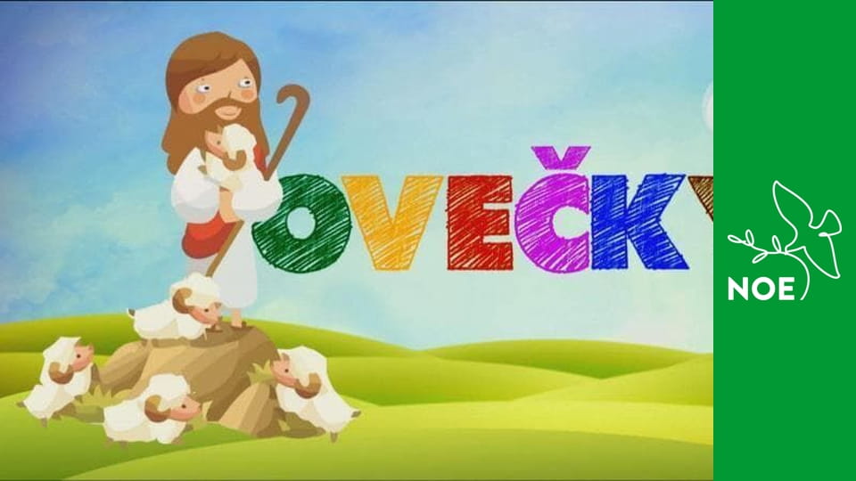 Ovečky - Slavnost Ježíše Krista krále