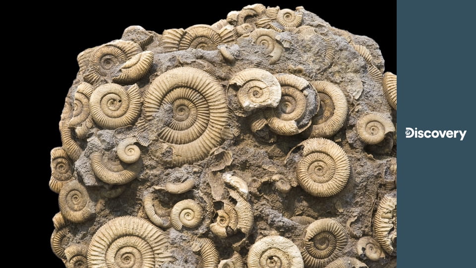 Как это устроено? S11E12 - Электротермические плиты