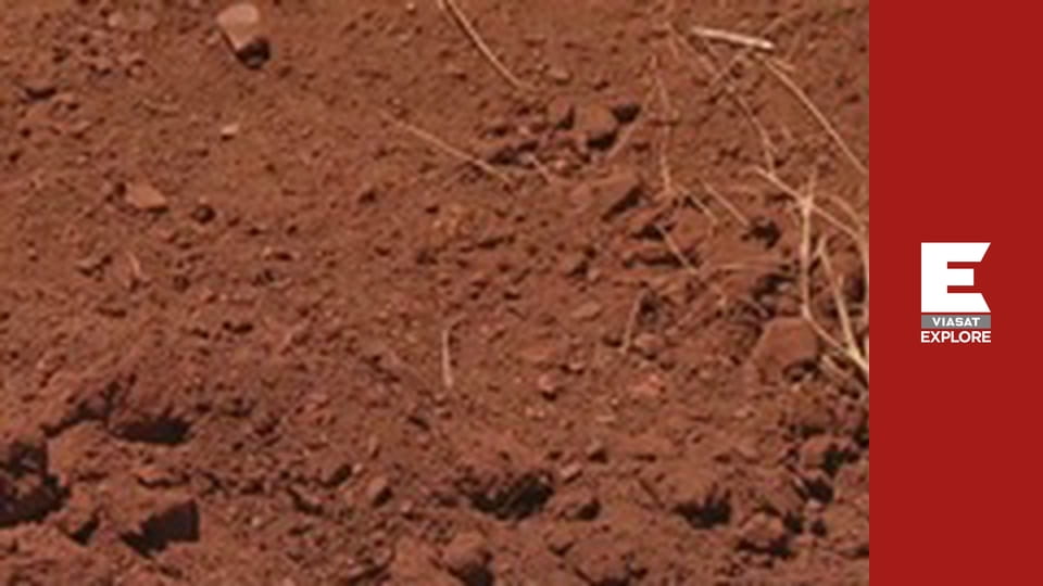 Aussie Gold Hunters - Season 7 Episode 19