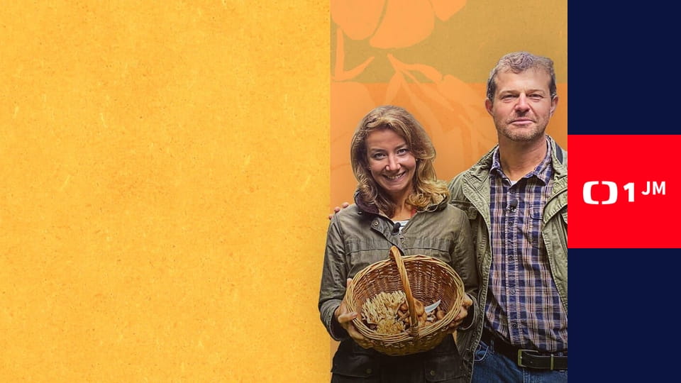 Co naše babičky uměly a na co my jsme zapomněli - Honza nese buchty