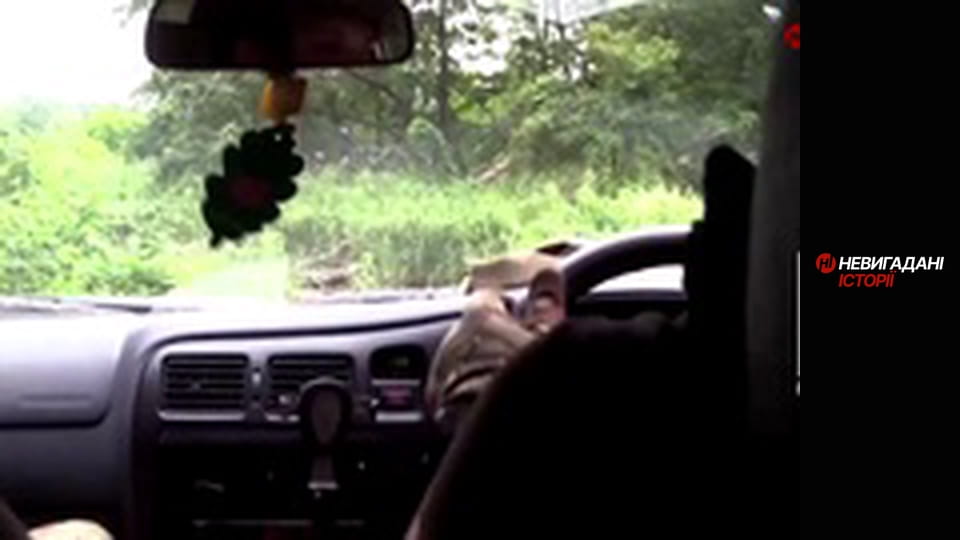 Невигадані історії.