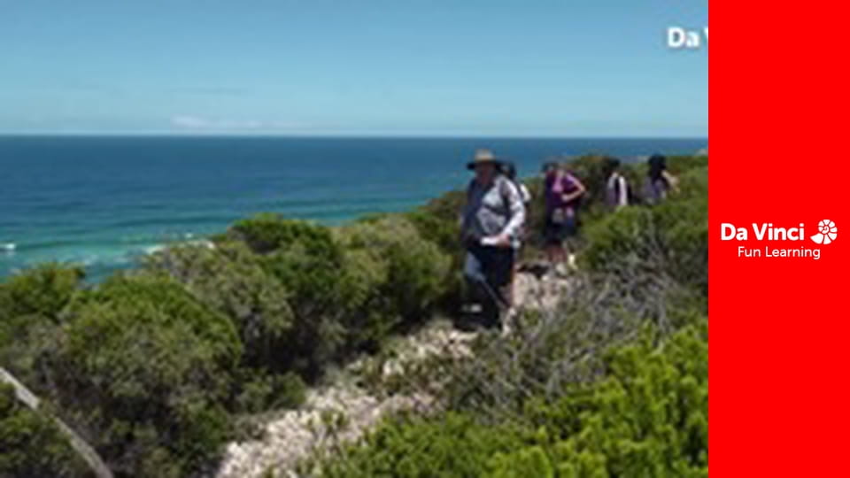 Siyaya - Wildest Cape - Robberg - Learning About Survival