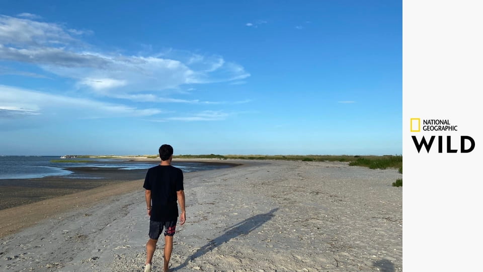 Něco mě kouslo! S1E5 - A najednou byla tma...