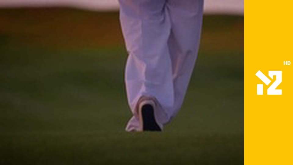 СвоєРідне. Шоубіз