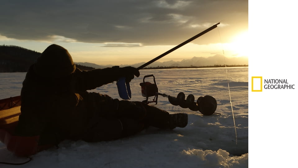 Aljaška: Noví osadníci S6E9 - Svobodně se toulat