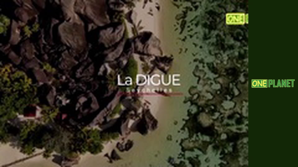 Города мира с высоты птичьего полета, 33 эп. Ла-Диг.