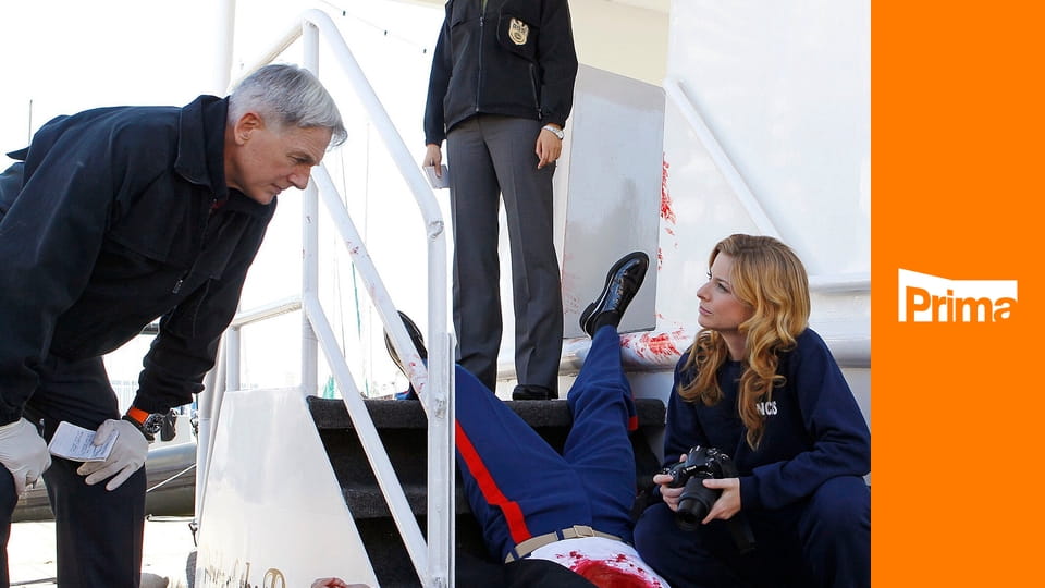 Námořní vyšetřovací služba S8E13 - Svoboda