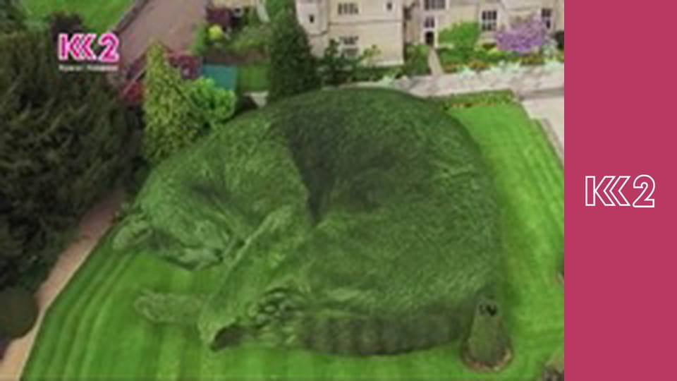 Удачний проект S1E21