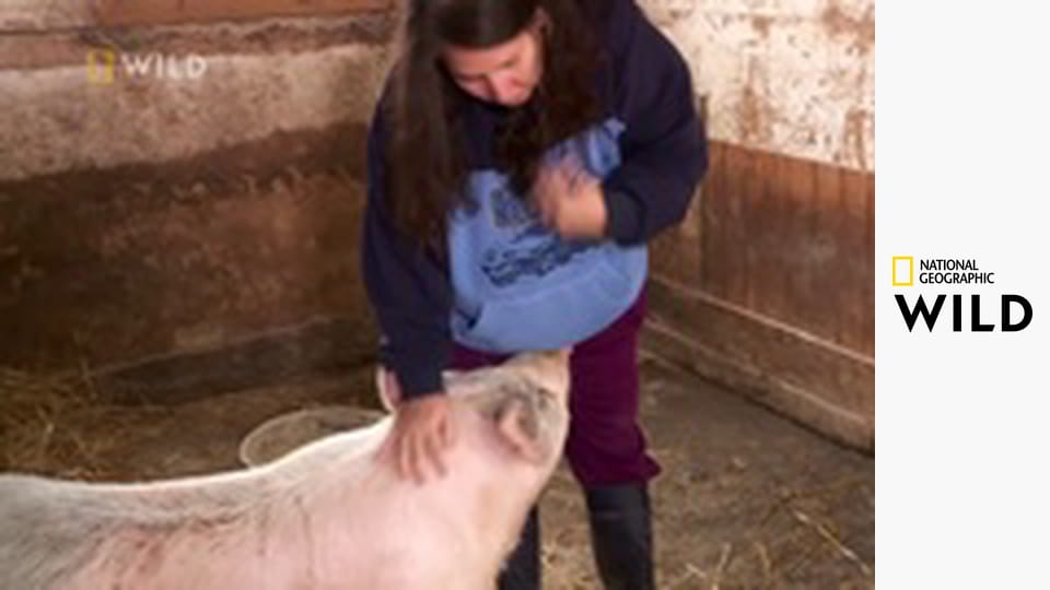 Niezwykły dr Pol S10E9 - Króliczku, pokaż się!