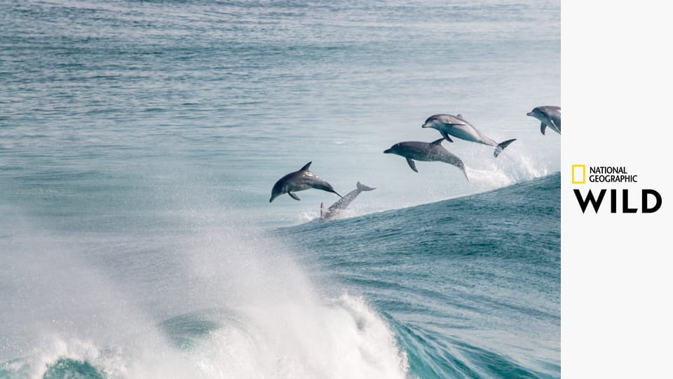 Необыкновенная Австралия S1E1