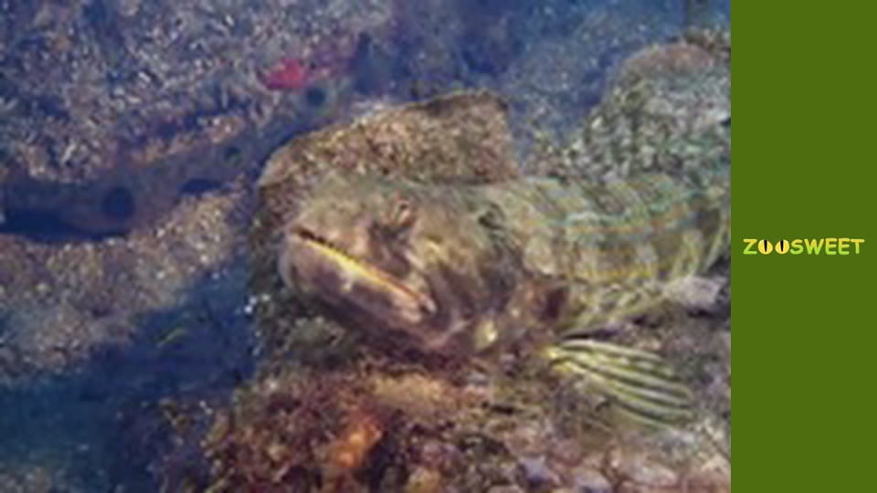 Повернення до природи - серія 2