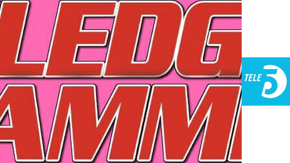 Inspektor Młot S1E8 - Nad moim martwym ochroniarzem