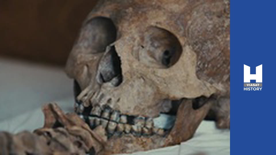 Lost Treasure Tombs of the Ancient Maya - Series 2