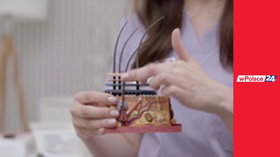 Budzimy się wPolsce24