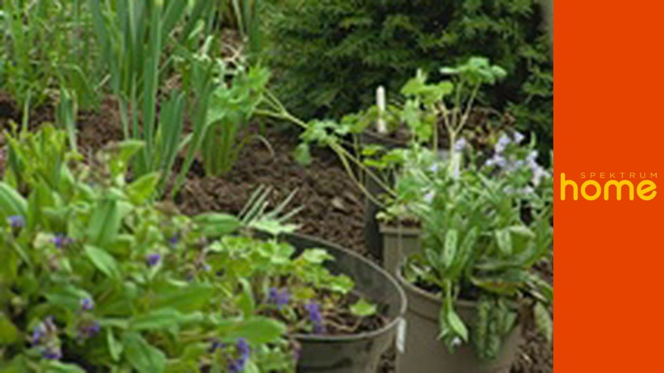 Zahradníkův svět S14E3