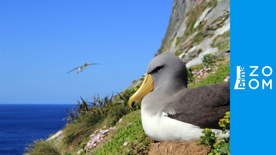 Krajina stínů E2 - Život v temné vodě