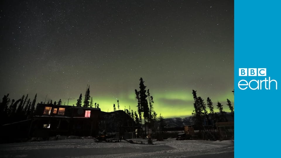 Life Below Zero S12E14 - Mama's Home