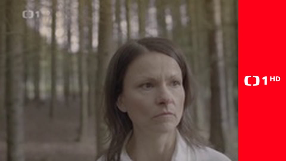 Výsledky losování Šťastných 10 a Euromiliony