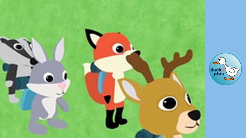 duckSchool - Respect Nature!