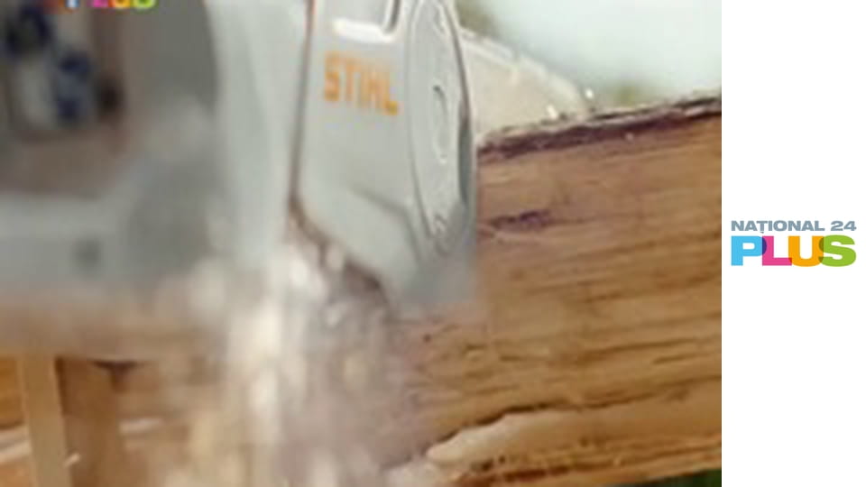 Dragostea găseşte o cale E312