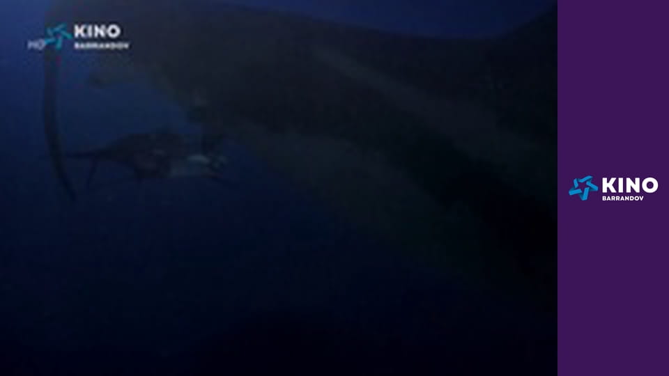 Megažralok versus Kolossus