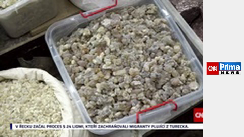 Estetika bez cenzury